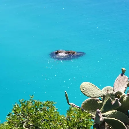 Capomare2 * Капо-Ватикано