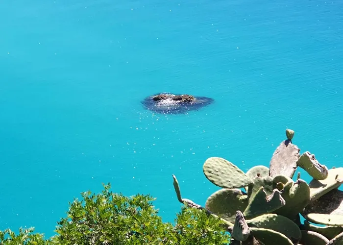 Capomare2 * Capo Vaticano