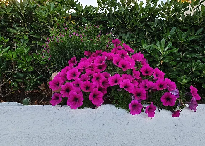 Capomare2 Capo Vaticano